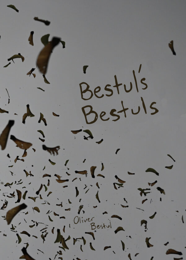 Bestul's Bestuls